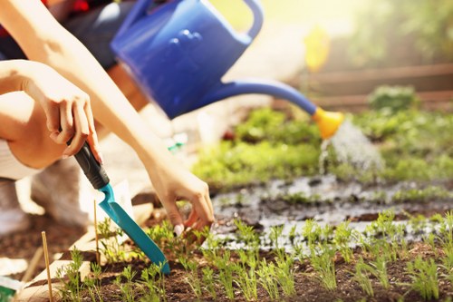 Gardeners starting work with safety equipment in a residential garden
