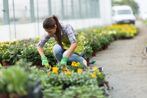 Gardener assessing a residential garden in Purley with tools