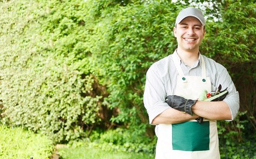 Close-up of a gardener using ergonomic tools in a Purley garden