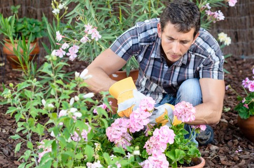 Pest control methods in a Purley garden
